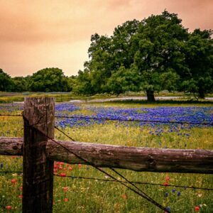 5 Acres - Burnet County